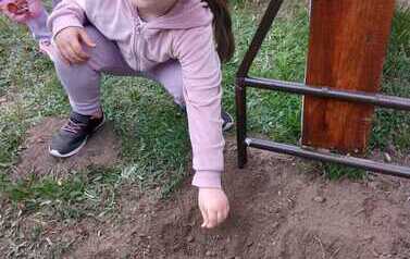 IMG-20260508-WA0022