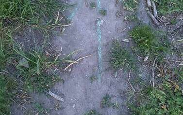 IMG-20260531-WA0026_05
