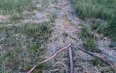 IMG-20260531-WA0026_03
