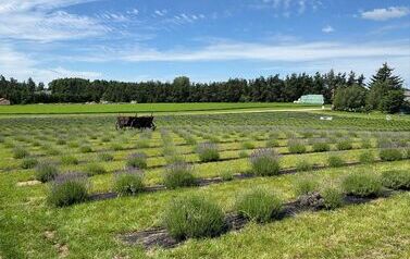 IMG-20260623-WA000013