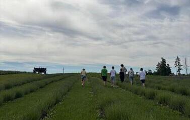 IMG-20260623-WA00005