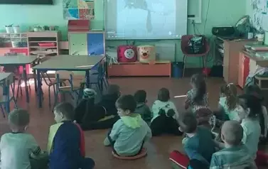 Dzień kota 2025 1