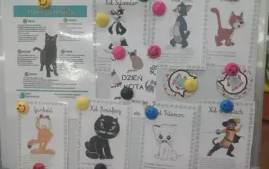 Dzień kota 2025 12