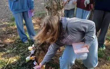 7b (2)
