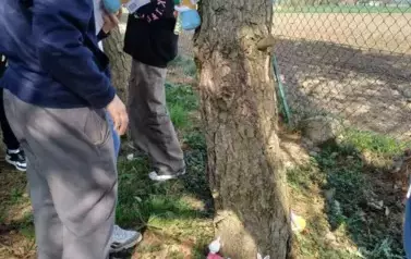 7b (1)