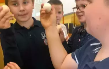 3 (12)