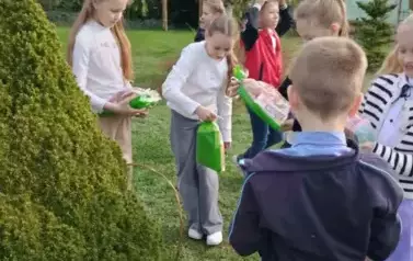 2 (12)