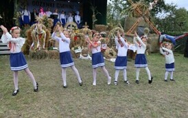 IMG_6981