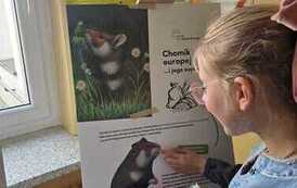 IMG-20260414-WA0040