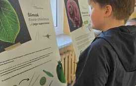 IMG-20260414-WA0029