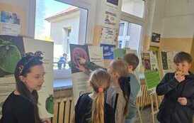IMG-20260414-WA0027
