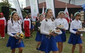 IMG_6932