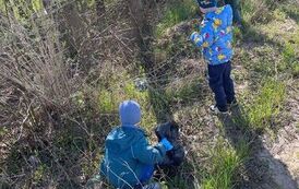 IMG-20260423-WA0041