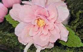 IMG-20260428-WA0053