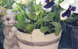 IMG-20260428-WA0048
