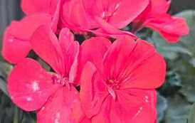 IMG-20260428-WA0047