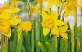 IMG-20260428-WA0046