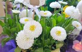 IMG-20260428-WA0043