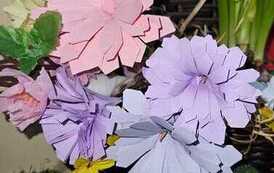 IMG-20260428-WA0037