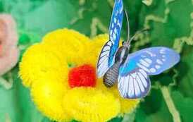 IMG-20260428-WA0035