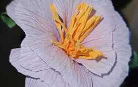 IMG-20260428-WA0030