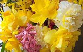 IMG-20260428-WA0029