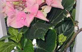 IMG-20260428-WA0026