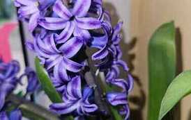 IMG-20260428-WA0025