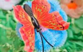 IMG-20260428-WA0024