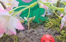 IMG-20260428-WA0023