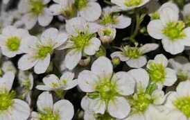 IMG-20260428-WA0022