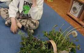 IMG-20260507-WA0026