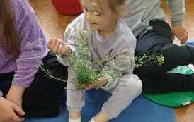 IMG-20260507-WA0017