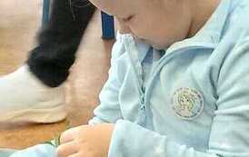 IMG-20260507-WA0012