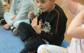 IMG-20260507-WA0010