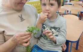 IMG-20260507-WA0008