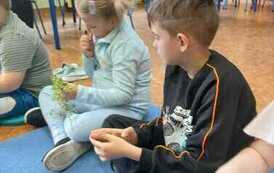 IMG-20260507-WA0006