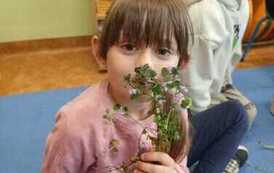 IMG-20260507-WA0002