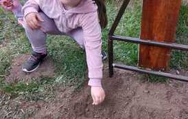 IMG-20260508-WA0022