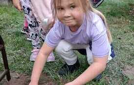 IMG-20260508-WA0021