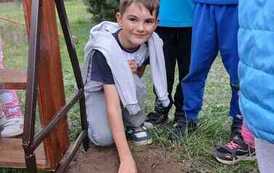 IMG-20260508-WA0020