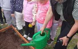 IMG-20260508-WA0013