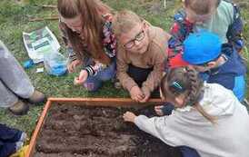 IMG-20260508-WA0006