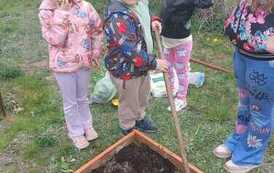 IMG-20260508-WA0005