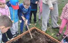 IMG-20260508-WA0001