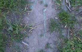 IMG-20260531-WA0026_05