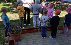 IMG-20260531-WA0048