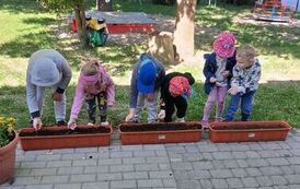 IMG-20260531-WA0047