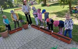 IMG-20260531-WA0037