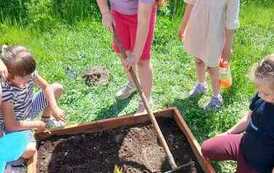 IMG-20260531-WA0017